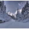 winterlandschaft